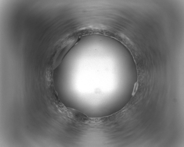 X0000068861110200605051036