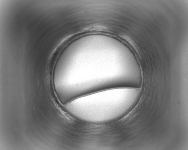 X0000068861115200605051036
