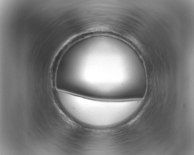X0000068861118200605051036