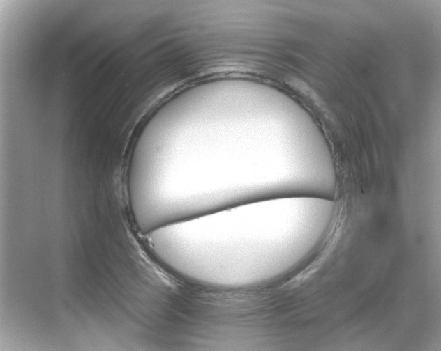 X0000068861121200605051036