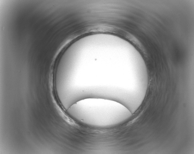 X0000068861130200605051036