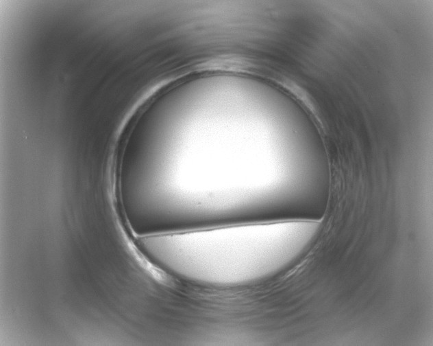 X0000068861131200605051036