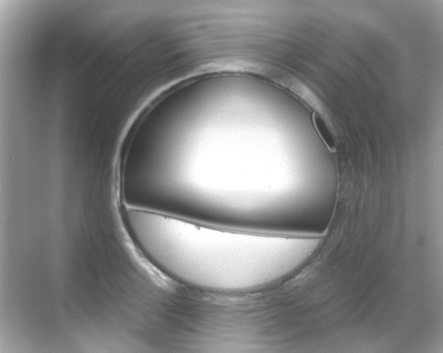 X0000068861132200605051037