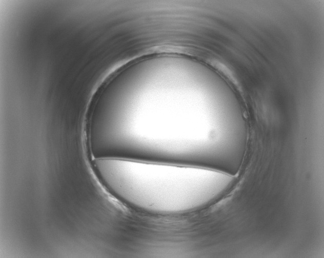X0000068861133200605051037