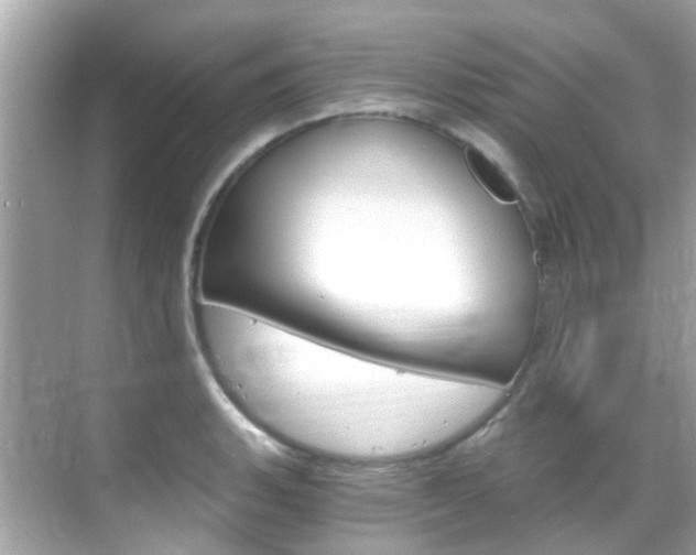 X0000068861135200605051037