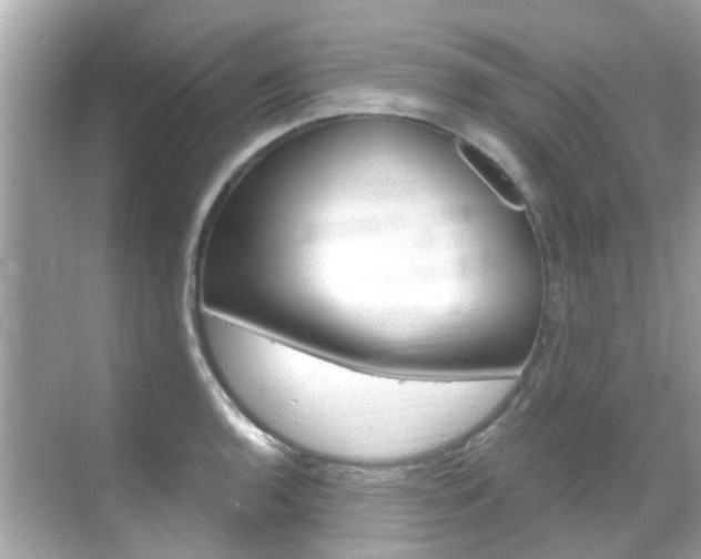 X0000068861136200605051037