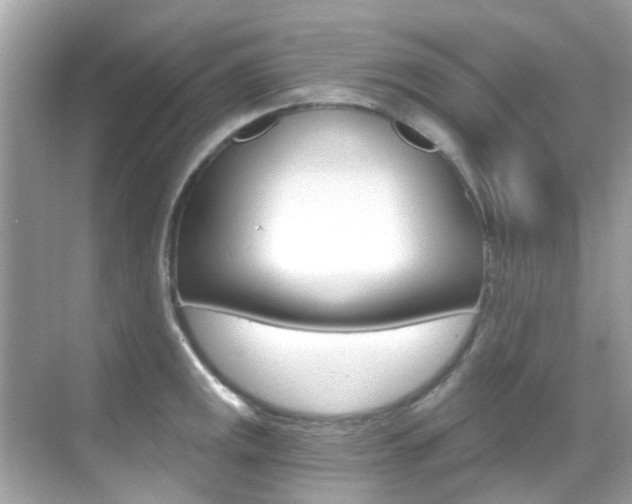 X0000068861141200605051037