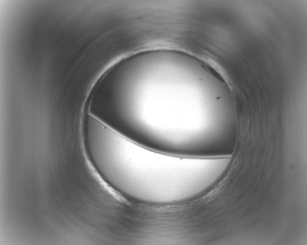 X0000068861142200605051037