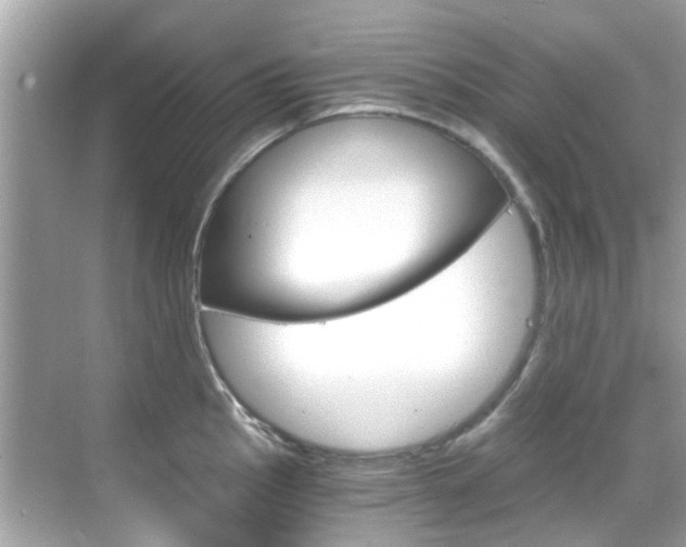 X0000068861145200605051037
