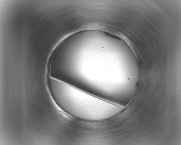 X0000068861147200605051037