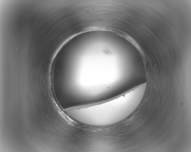 X0000068861148200605051037