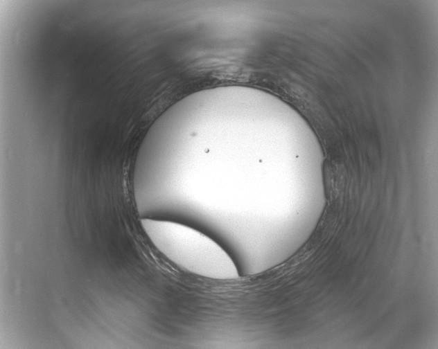 X0000068861154200605051036