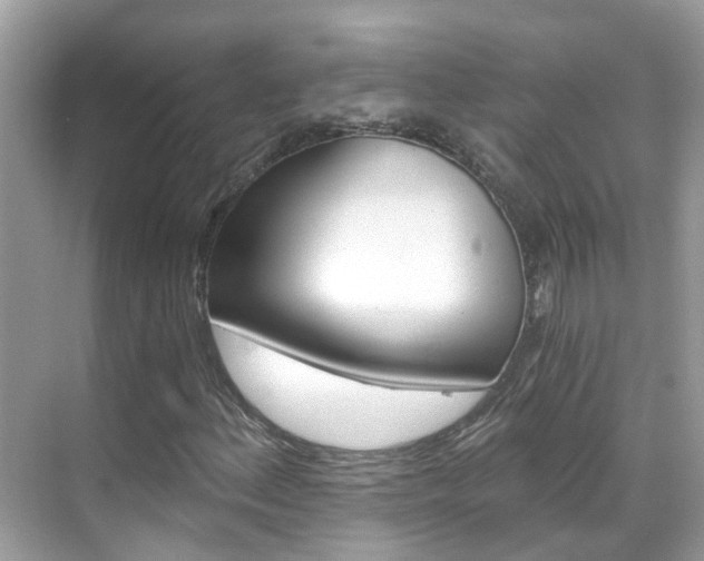 X0000068861156200605051036