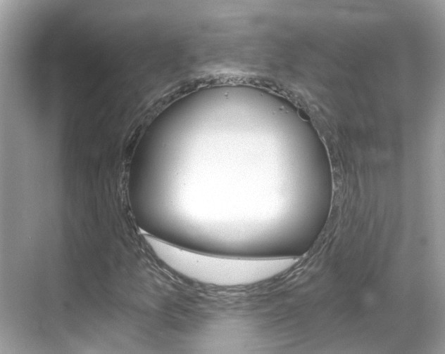X0000068861157200605051036