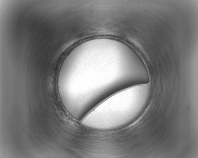 X0000068861163200605051036