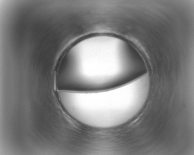 X0000068861175200605051036