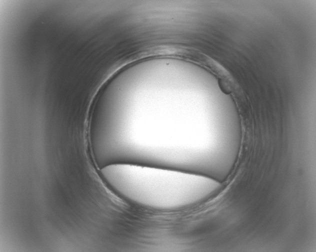 X0000068861178200605051036