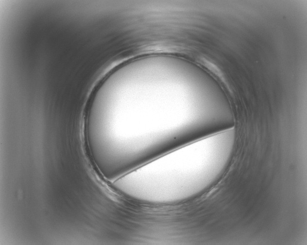 X0000068861179200605051036