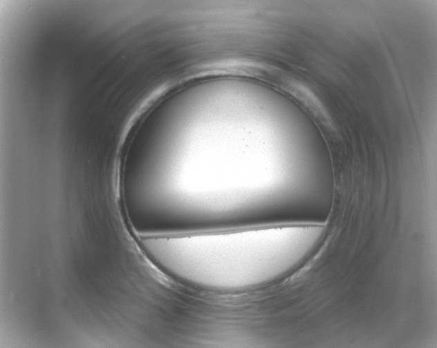 X0000068861180200605051036