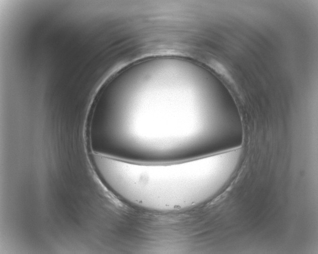 X0000068861181200605051036
