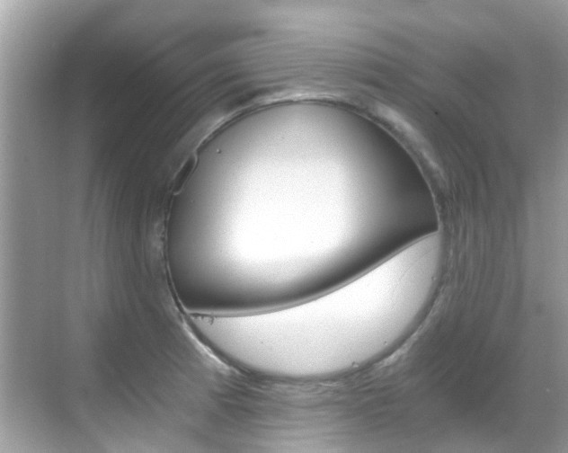 X0000068861185200605051036