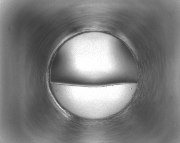 X0000068861187200605051035