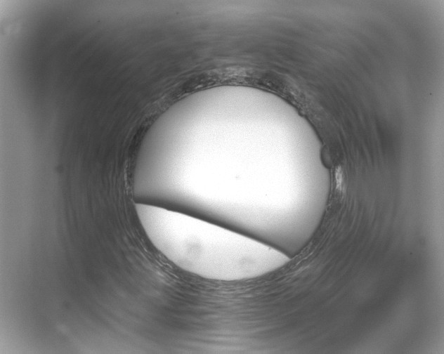 X0000068861203200605051034