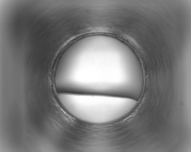 X0000068861212200605051035
