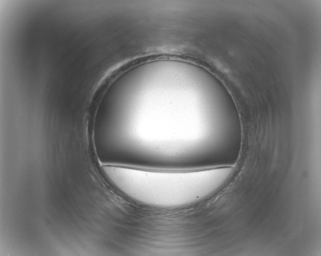 X0000068861214200605051035