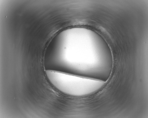 X0000068861217200605051035