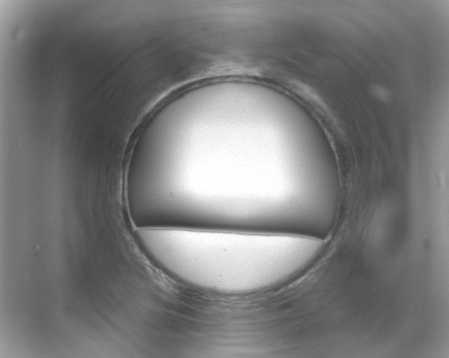 X0000068861220200605051035