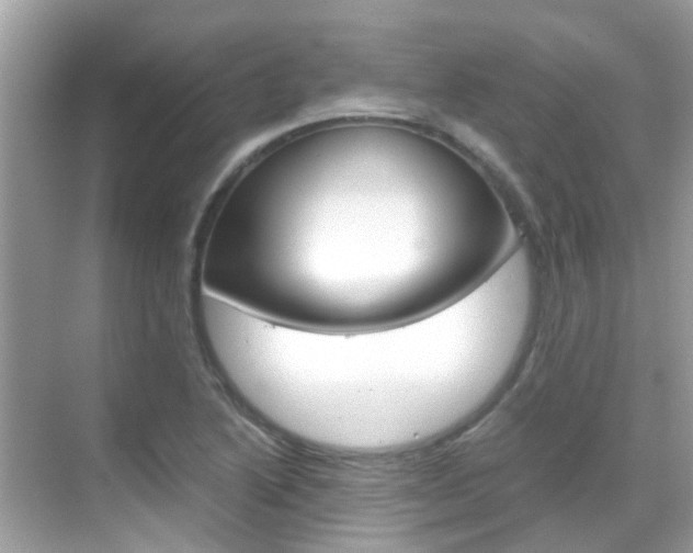 X0000068861222200605051035