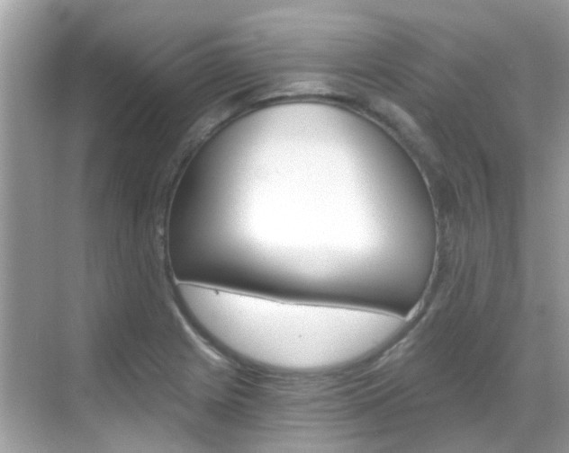 X0000068861225200605051035