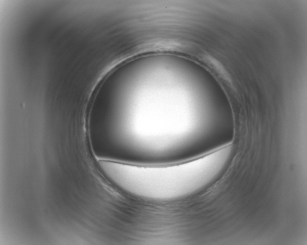 X0000068861226200605051035