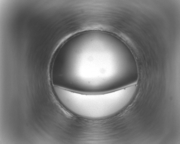 X0000068861230200605051035