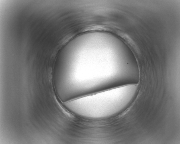 X0000068861233200605051035
