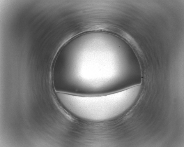 X0000068861234200605051035