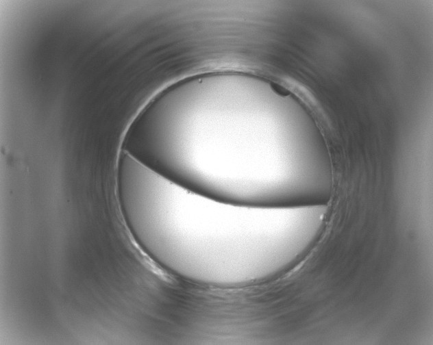 X0000068861236200605051035