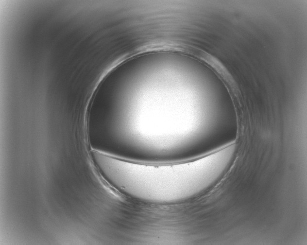 X0000068861242200605051035