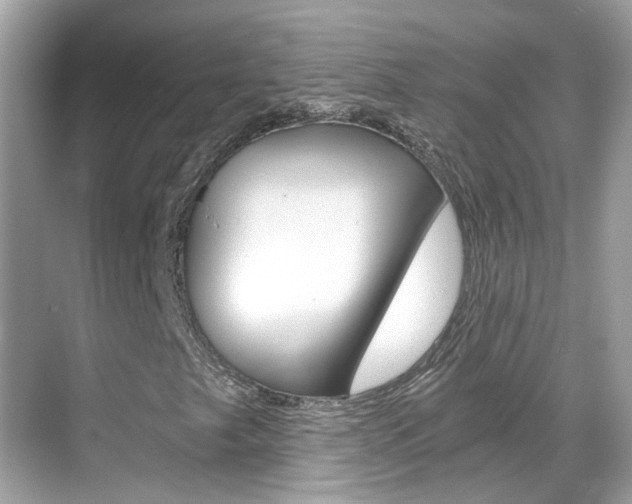 X0000068861249200605051034