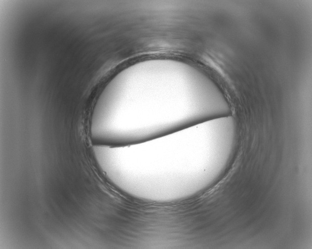 X0000068861259200605051034