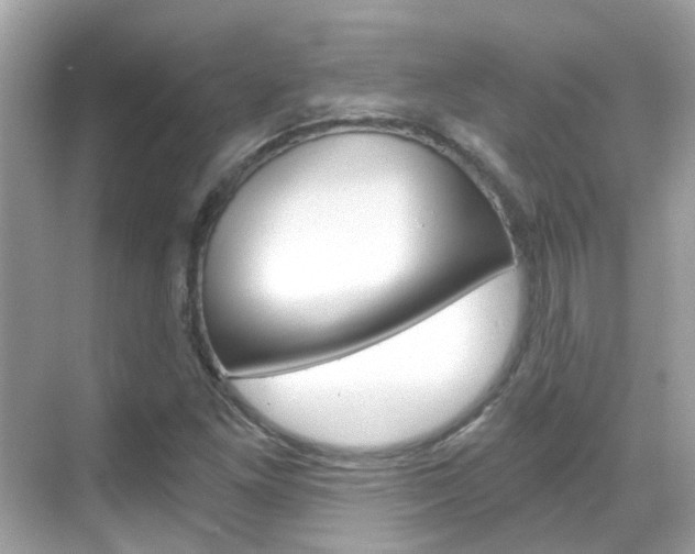 X0000068861261200605051034