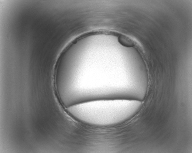 X0000068861279200605051034