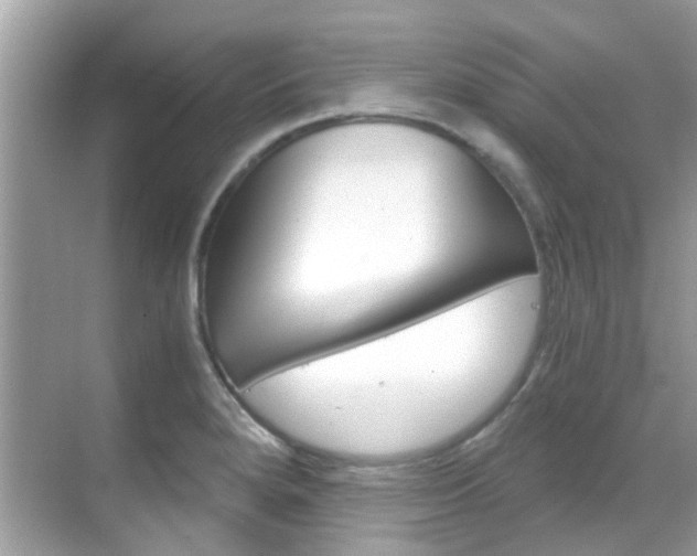 X0000068861280200605051034