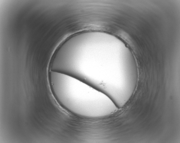 X0000068861283200605051034