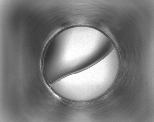X0000068861293200605051034