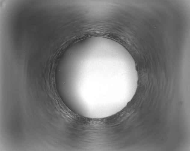 X0000068861297200605051033
