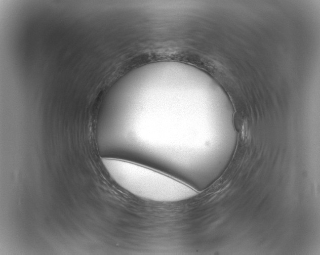 X0000068861299200605051033