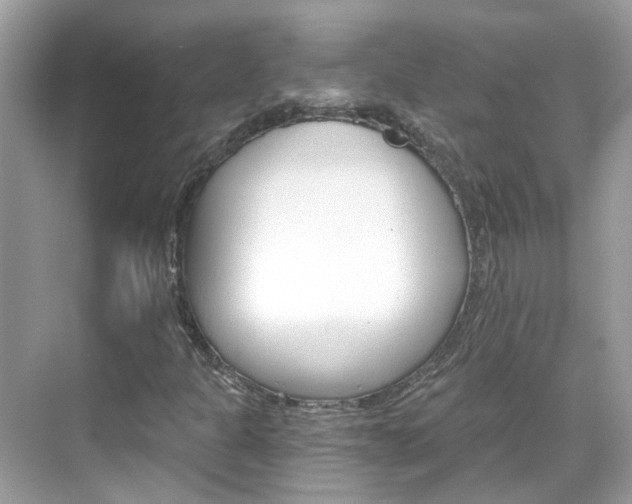 X0000068861301200605051033