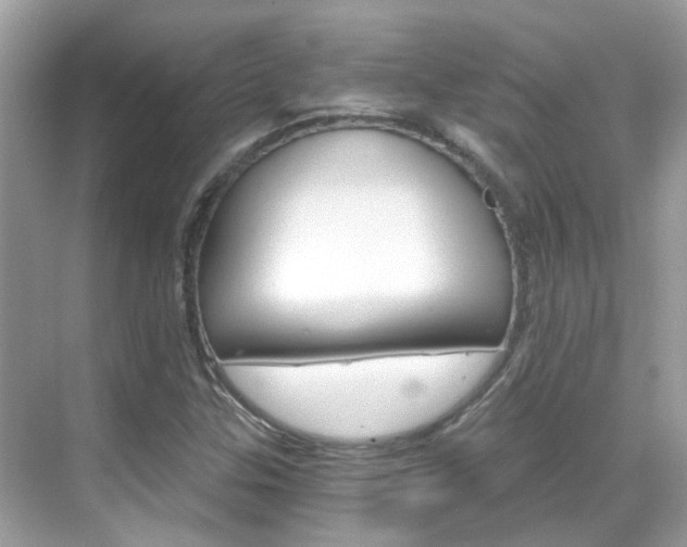 X0000068861307200605051033